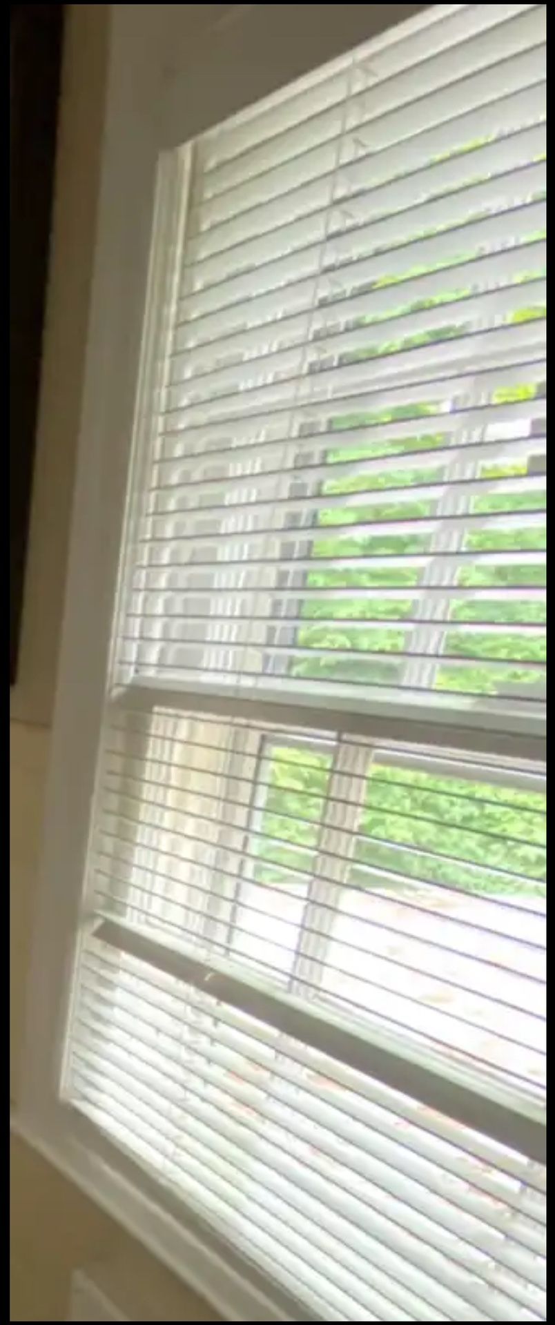 faux wood blinds