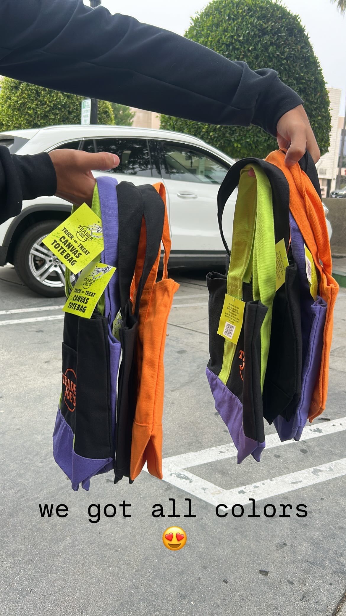 Trade Joe’s Halloween Bags