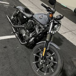 2022 Harley Davidson Sportster 883