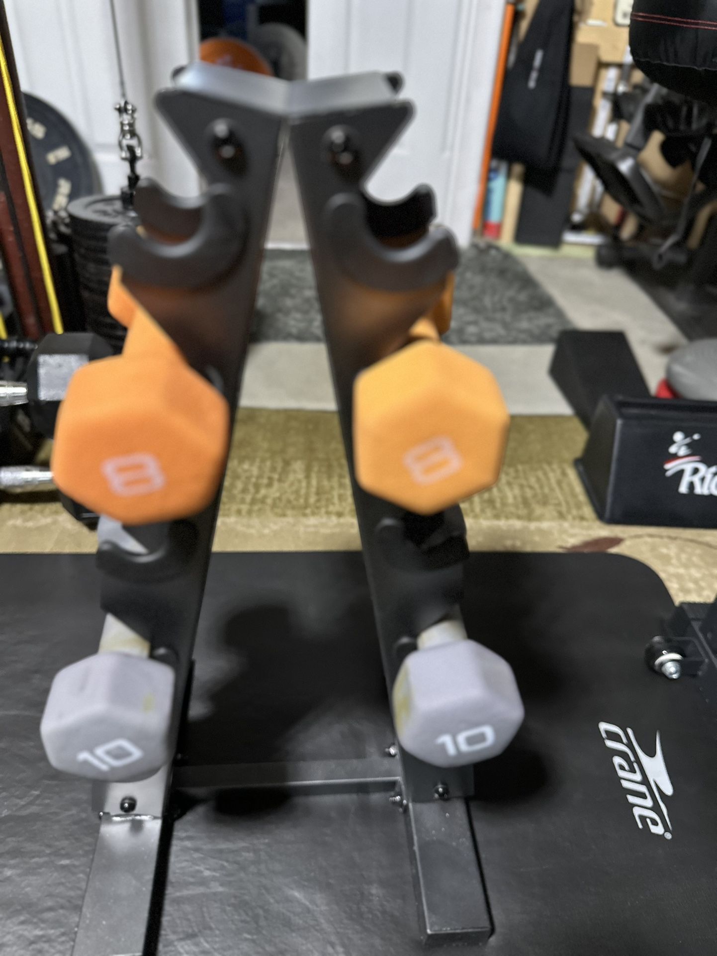 Dumbell Stand With 10 & 8 Lbs Pair Dumbbells