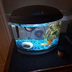 2 Five Gallon Fish Tanks And 2 One Gallon Tanks BEST OFFER