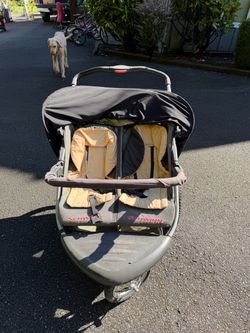 Schwinn double jogger