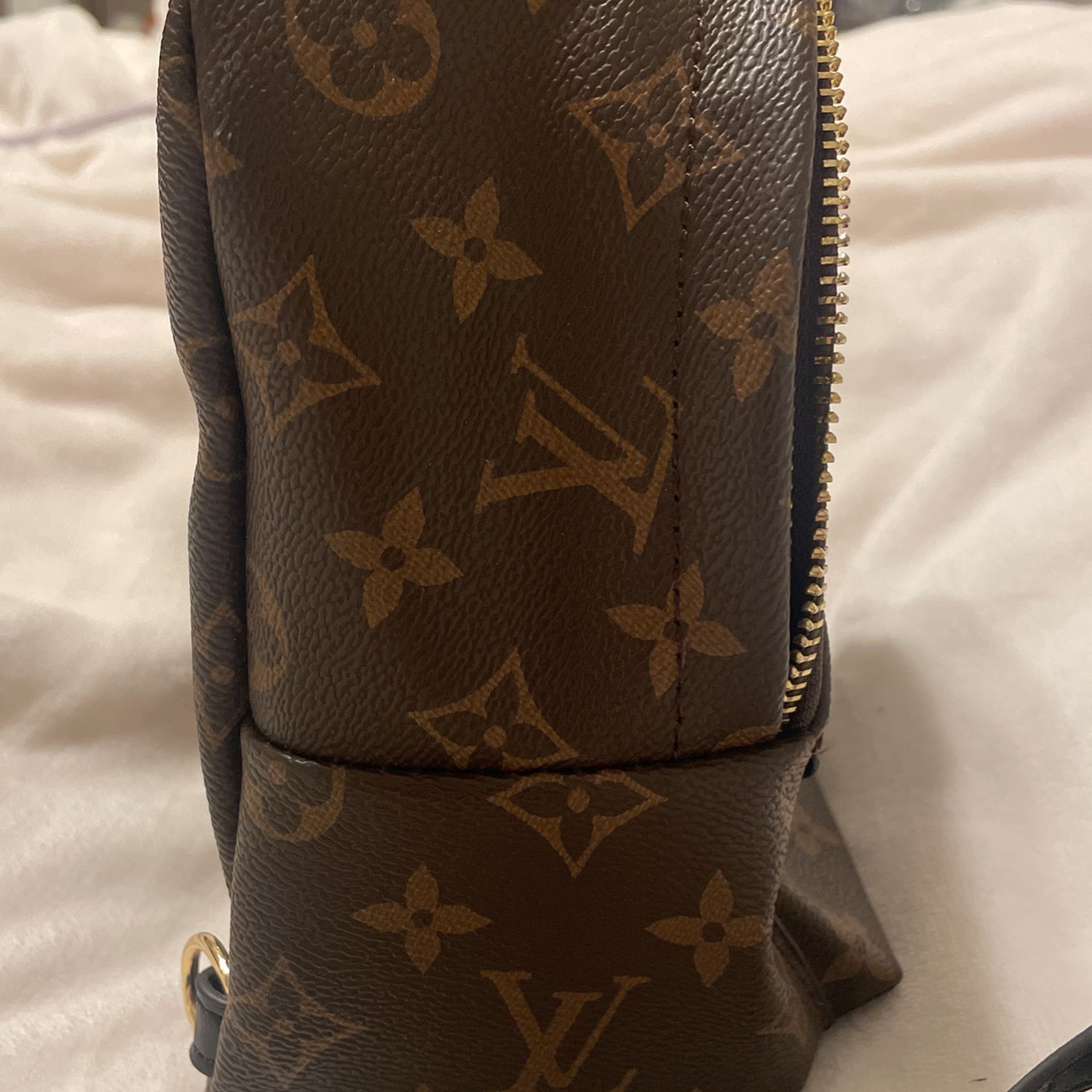 Authentic Louis Vuitton Palm Springs MM for Sale in Lodi, CA - OfferUp