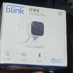 Blink Mini