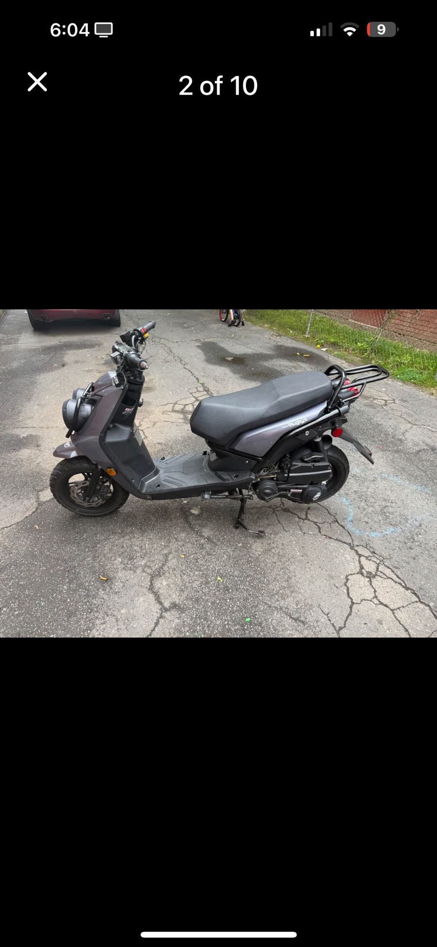 Wolf Brand Scoter Rugby 2023
