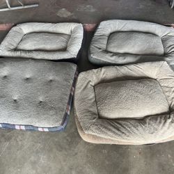 Dog Beds