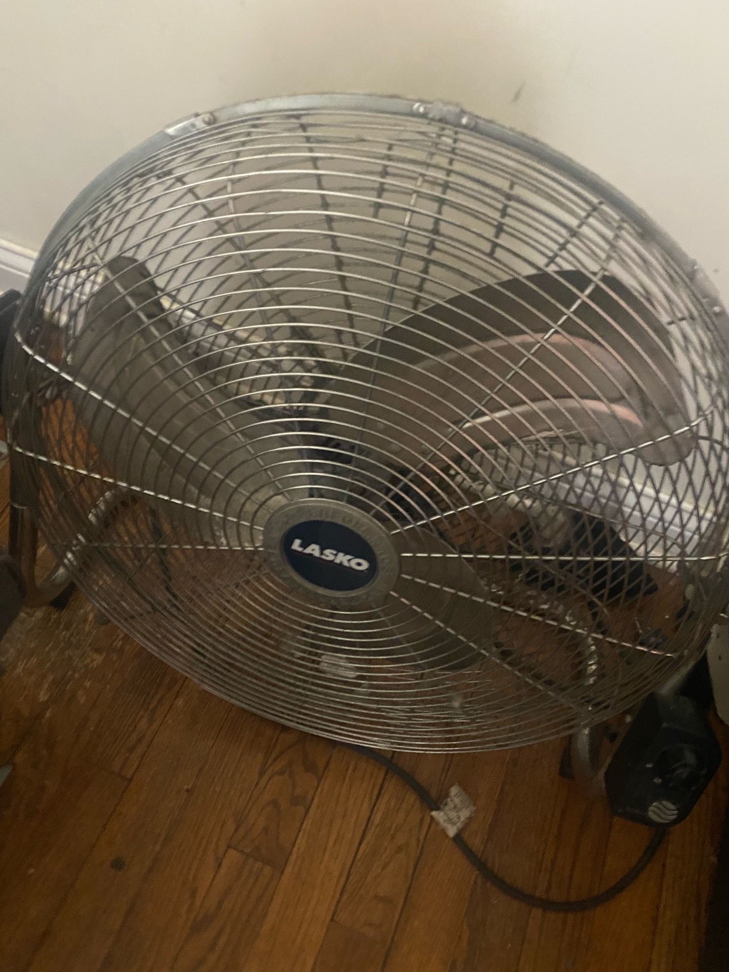 Fan