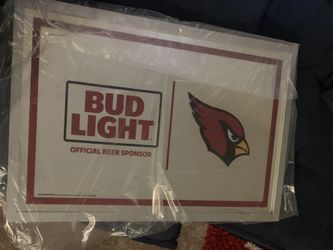 Brand new cardinal mirror 50$