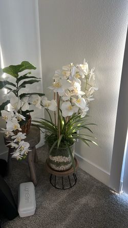 XL orchid plant (fake)