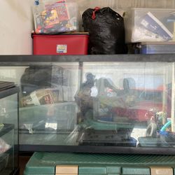 Extra Large Fish Tank