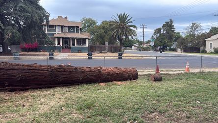 Long 65‘ x 2 to 3 feet wide redwood trunk for free Long 65’ x 2 to 3 feet wide redwood trunk for free