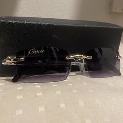 Cartier buffs buffalo horn sunglasses