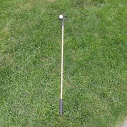 Extendable Golf Ball Retriever