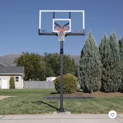 Lifetime 60" Adjustable Bolt Down Basketball Hoop