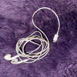 Apple Earbuds 