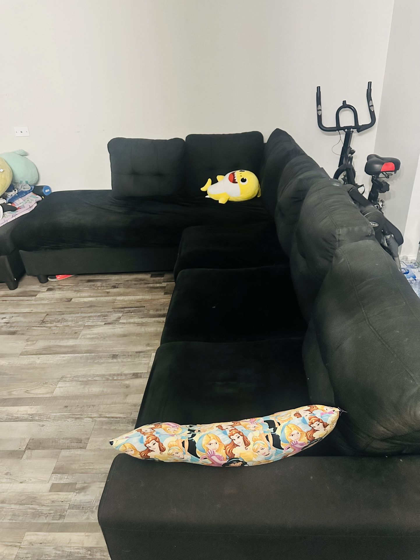 Sectional Couch