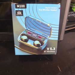 Wireless Earbuds
