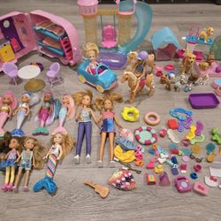 Barbie Chelsea Dolls And Accessories 