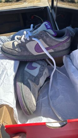 Purple Pigeons SB