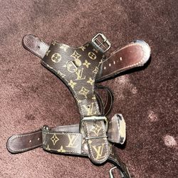 Louis Vuitton Dog Harness