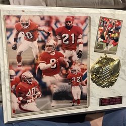 San Francisco Super Bowl XXIX CHAMPION 