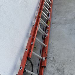 Heavy Duty Ladder 