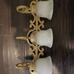 Light Fixture