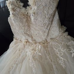 Tulle Dress