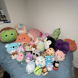 Squishmallows / Squishables