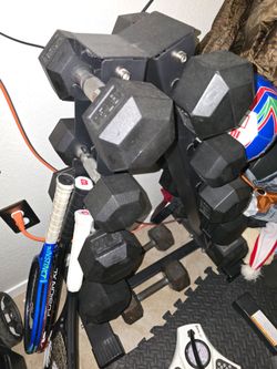 Dumbells and bench