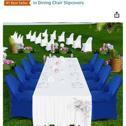 Stretch Chair Covering