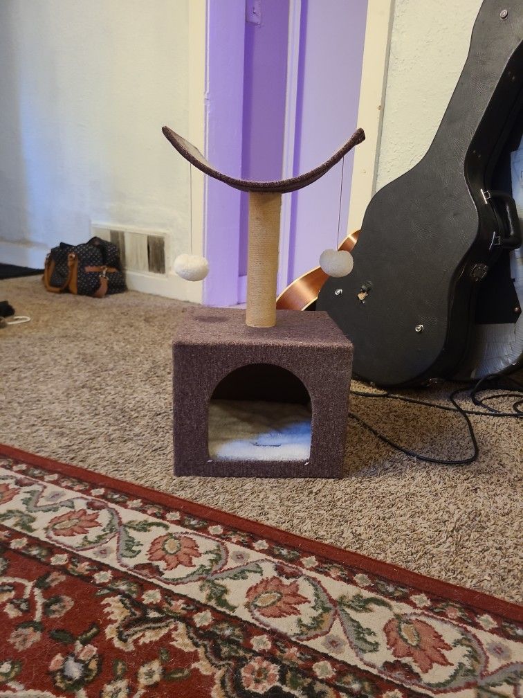 Cat tower!