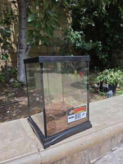 Mini terranium
