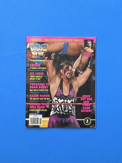 WWF WWE Vintage Wrestling Magazine Jan 1994