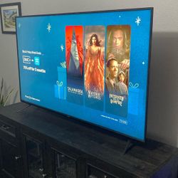 65 In. Vizio Flat Screen TV With Fire Stick 