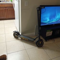 Hiqis Electric Scooter 