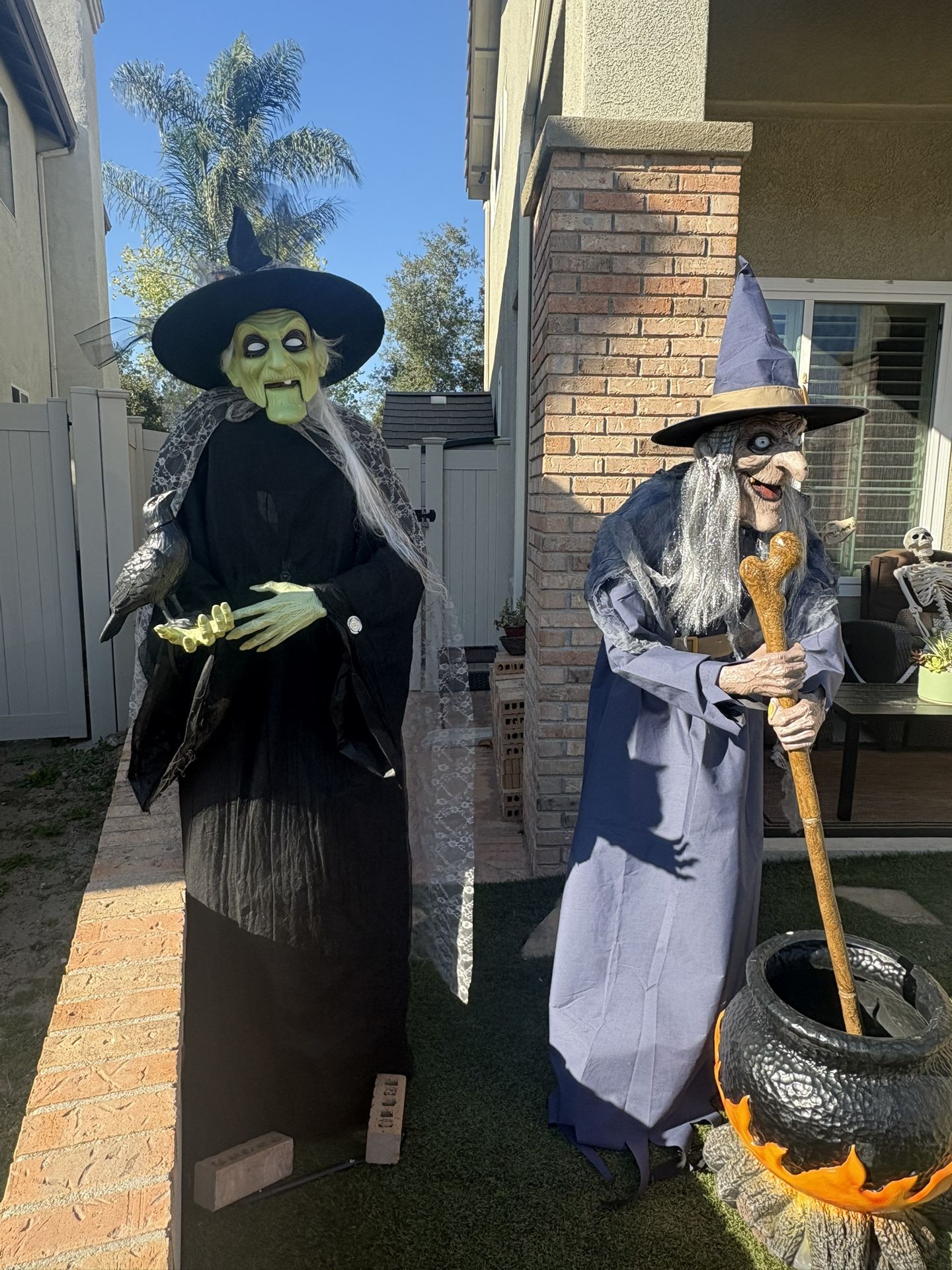 6 foot Animated LED Halloween Witch with Raven.  Moves and Speaks. Comes with original box