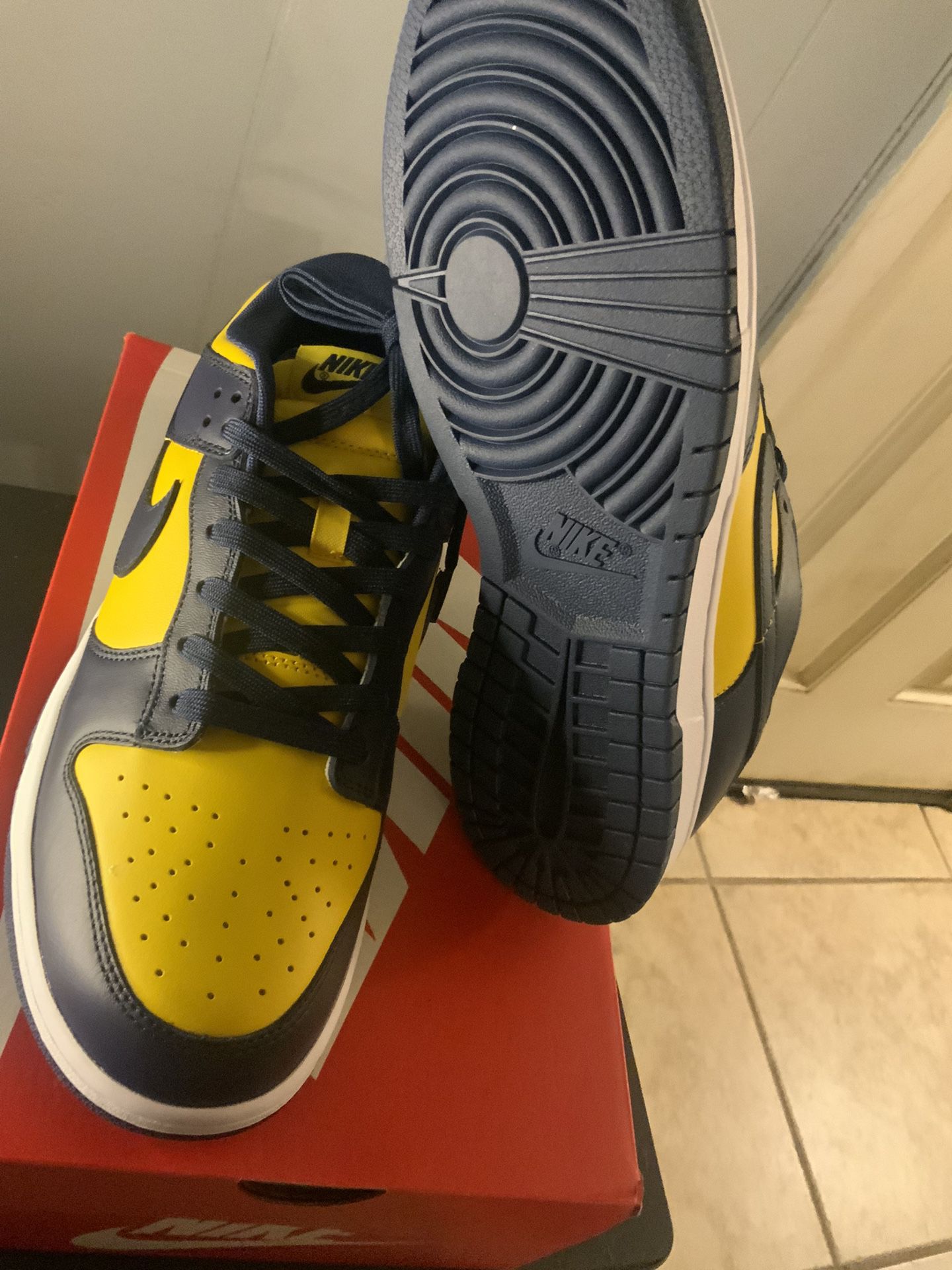 Jordan Nike Michigan Dunk 1 Size 10