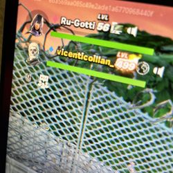 I Will Cary You In Fortnite For $5