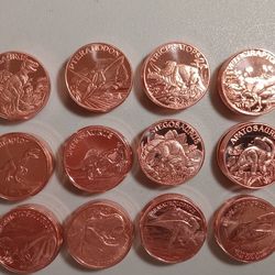 12 Dinosaur Copper Round Set
