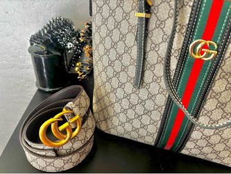 Belt and bag