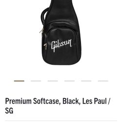 Guitar Bag With Shade Inside..