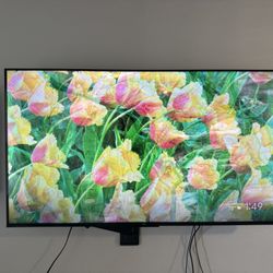 Vizio & TCL TVs 