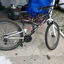 Adult Bike 