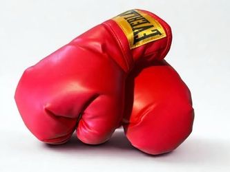 Everlast Youth Boxing Set – Gloves + Focus Mitts (Like New)