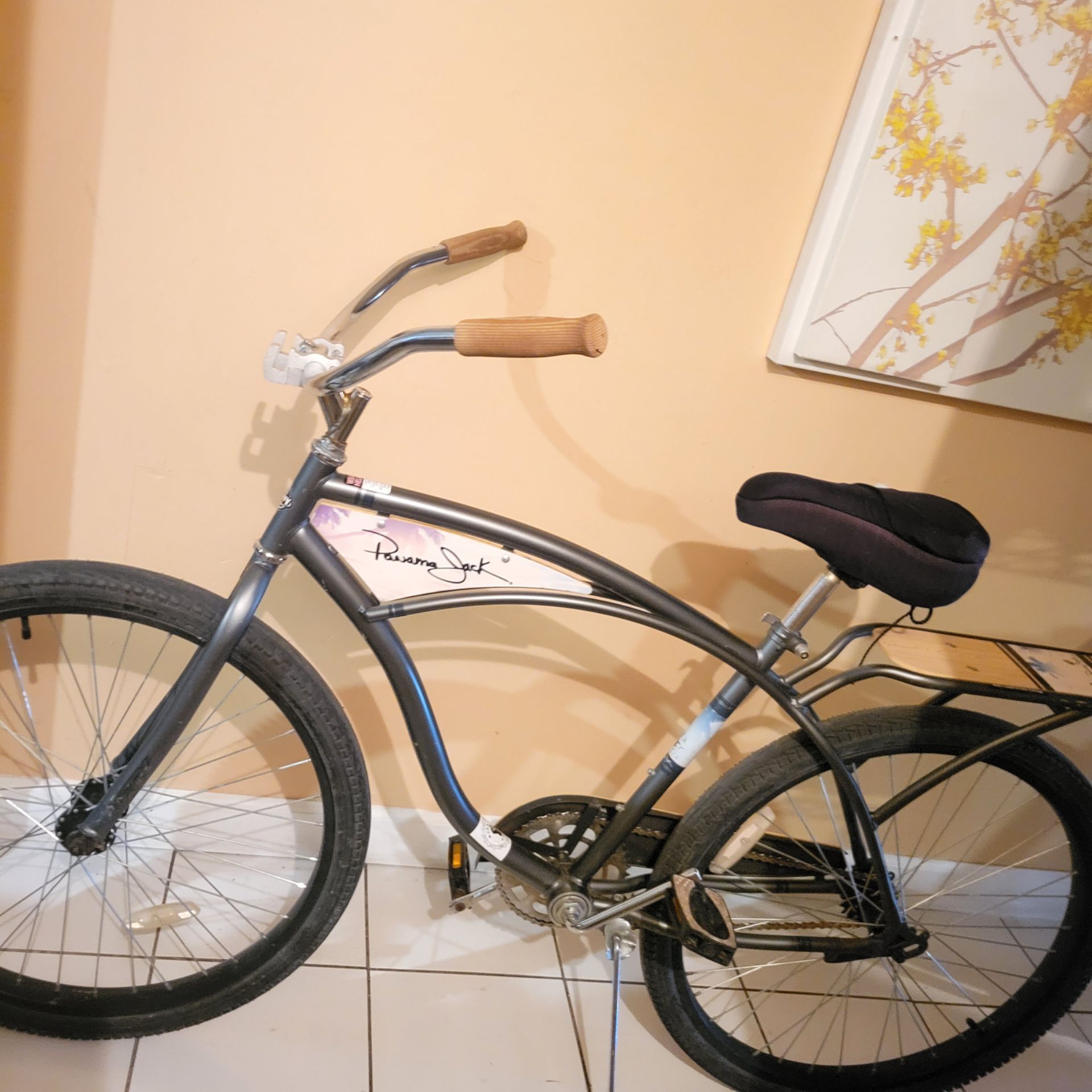 Cruiser bike