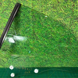 03-09 Mercedes W209 CLK350 Rear Left Driver Side Quarter Window Glass OEM