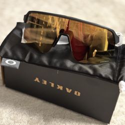 Oakley Glasses