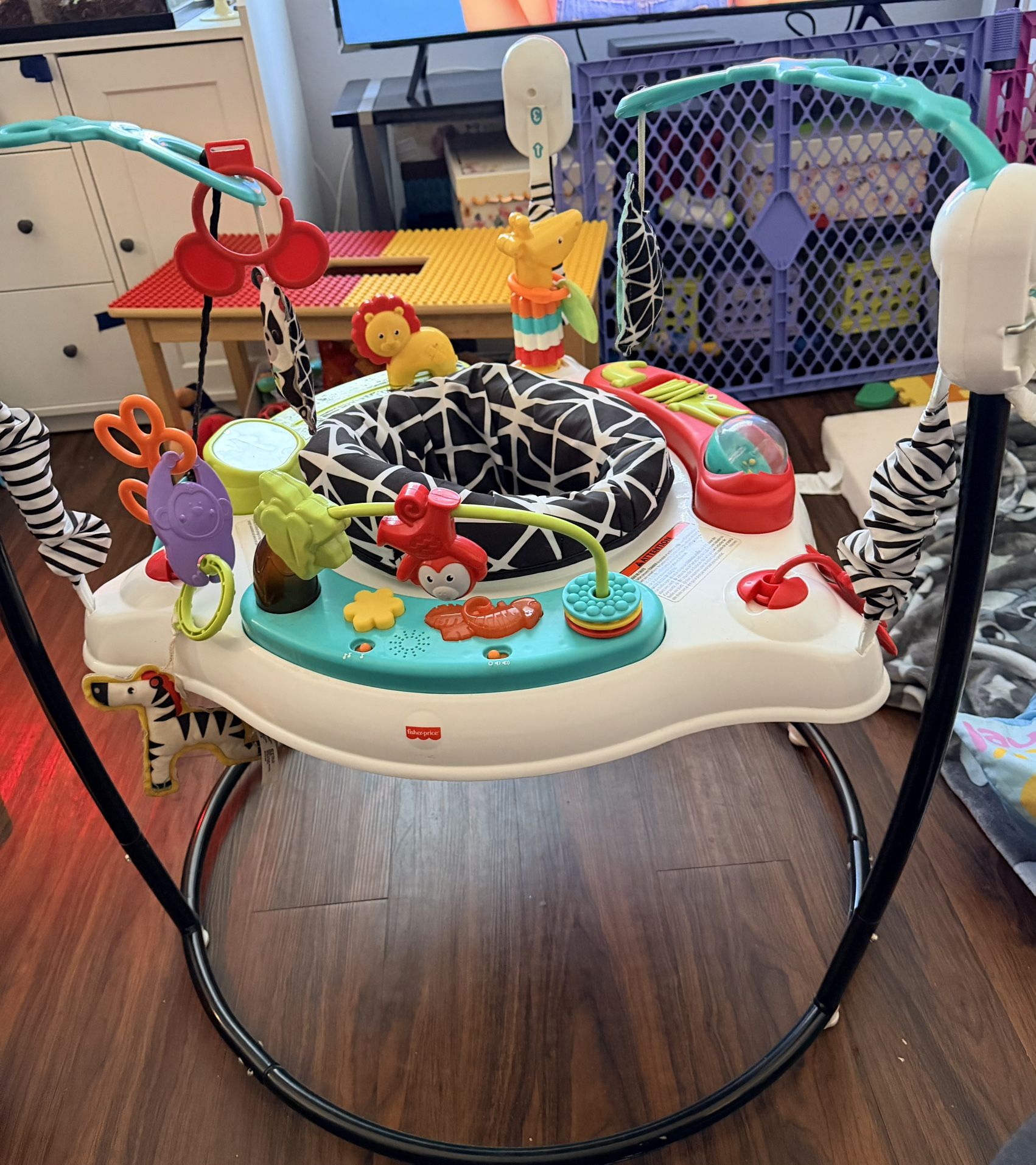 Fisher-Price Baby Bouncer