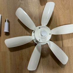 Socket Fan Whit Light 